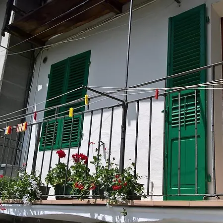 Daire Borgo